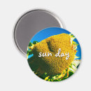 Sök efter sol magneter Gult