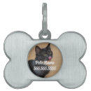 Sök efter kattsaker Kattunge