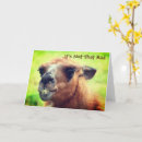 Sök efter rolig 30års födelsedagskort För honom