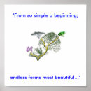 Sök efter evolution posters Liv