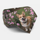 Sök efter corgi herr slipsar Djur