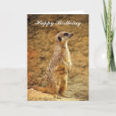 Sök efter meerkat kort födelsedagskort