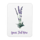 Sök efter flower magneter Lavender