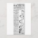 Sök efter elefant på en cykel Cirkus