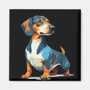 Sök efter teckel Djur