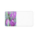 Sök efter purpurfärgad tulpan Blommigt