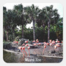 Sök efter flamingo klistermärken Florida