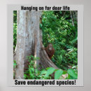 Sök efter rainforest posters Natur