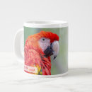 Sök efter macaw muggar Scarlet