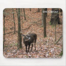 Sök efter bock elektronik Whitetail