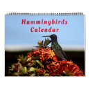 Sök efter hummingbirds Hummer