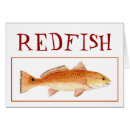 Sök efter redfish Snook