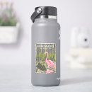 Sök efter flamingo klistermärken Vilda djur
