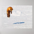 Sök efter hoppa posters Vinter