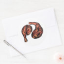 Sök efter idiot klistermärken Trumma