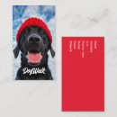 Sök efter förtjusande hund Fotografi av hund