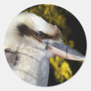 Sök efter winged klistermärken Vilda djur