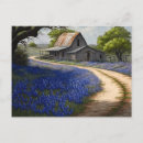 Sök efter bluebonnet vykort Blåa blommor