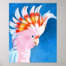 Sök efter mohawk Tropiska