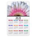 Sök efter gerbera magneter Blommor