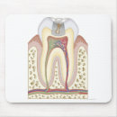 Sök efter doktor kontor musmattor Medicinsk