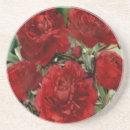 Sök efter röd nejlika För henne