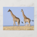 Sök efter etosha Resa