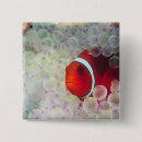 Sök efter clown fisk accessoarer Anemon