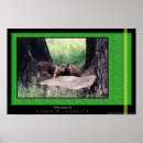Sök efter jordgubbe fotografi Natur