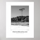 Sök efter hilton head posters Ö