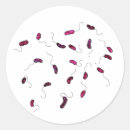Sök efter bakterier klistermärken Biologi