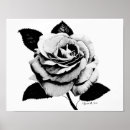 Sök efter rosa passion posters För alla