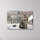 Sök efter kattfotografi Kattälskare