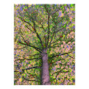 Sök efter sala posters Sallad