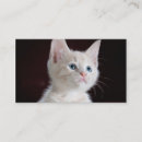 Sök efter tomma visitkort Mall