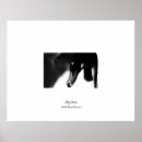 Sök efter svartvit fågel posters Djur