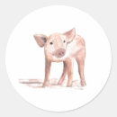Sök efter piglet klistermärken Djur