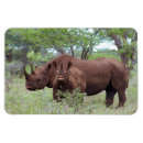 Sök efter rhinos magneter Människor (allmänt)