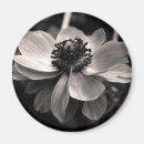 Sök efter photography magneter Blommor