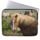 Sök efter iceland Farm