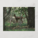 Sök efter bambi vykort Skog