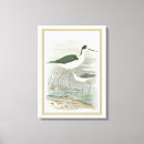 Sök efter hönor konst Natur