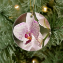 Sök efter orchids julgransprydnader Botanisk