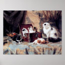 Sök efter knipa posters Katt