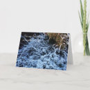 Sök efter svärdotter För honom