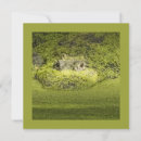 Sök efter reptil fotografi Gator