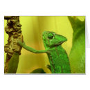 Sök efter kameleont Grönt