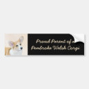 Sök efter welsh bildekaler Pembroke welsh corgi