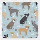 Sök efter pitbull klistermärken Tass