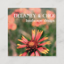 Sök efter daisy fotografi Botanisk